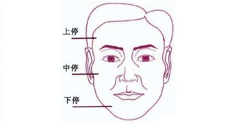 嘴唇有疤面相|面相命理学上，脸部这5个部位有疤的话都象征着什么？